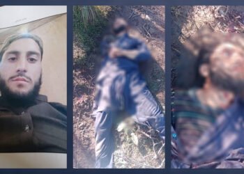 މިދިޔަ ދެ ދުވަހުގެ ތެރޭގައި ދާޢިޝްގެ ފިނޑިންނާ ދެކޮޅަށް މުހިއްމު އޮޕަރޭޝަންތަކެއް ހިންގިއެވެ