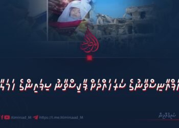 އަފްޣާނިސްތާނުގެ ސަރަހައްދަށް ޕާކިސްތާނު ސިފައިންގެ ހަމަލާ!