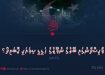ޕާކިސްތާނުގައި ބޭރުގެ ނުފޫޒުގެ ހަގީގީ ސިފައަކީ ކޮބައިތޯ؟ 2 ވަނަ ބައި