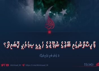ޕާކިސްތާނުގައި ބޭރުގެ ނުފޫޒުގެ ހަގީގީ ސިފައަކީ ކޮބައިތޯ؟  3 ވަނަ ބައި (ފައިނަލް)