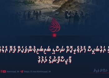 ކުރީގެ އަރުބަކީސް މެދުވެރިކޮށް ނަސްލީ ބައިބައިވުންތަކަށް ތެޔޮ އެޅުމުގައި ޕާކިސްތާނުގެ ދައުރު