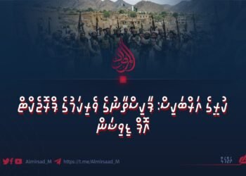 ކުރީގެ އަރްބަކިސް: ޕާކިސްތާނުގެ ވެރިކަމުގެ ޕްރޮޖެކްޓް އޮފް ޑިވިޝަން
