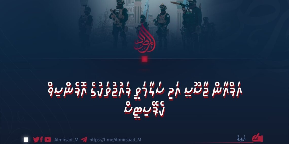 އަފްޣާން ޖާސޫސީ އަދި ސަލާމަތީ ފައުޖުތަކުގެ އޮފެންސިވް ކެޕޭސިޓީސް
