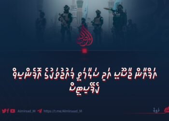 އަފްޣާން ޖާސޫސީ އަދި ސަލާމަތީ ފައުޖުތަކުގެ އޮފެންސިވް ކެޕޭސިޓީސް