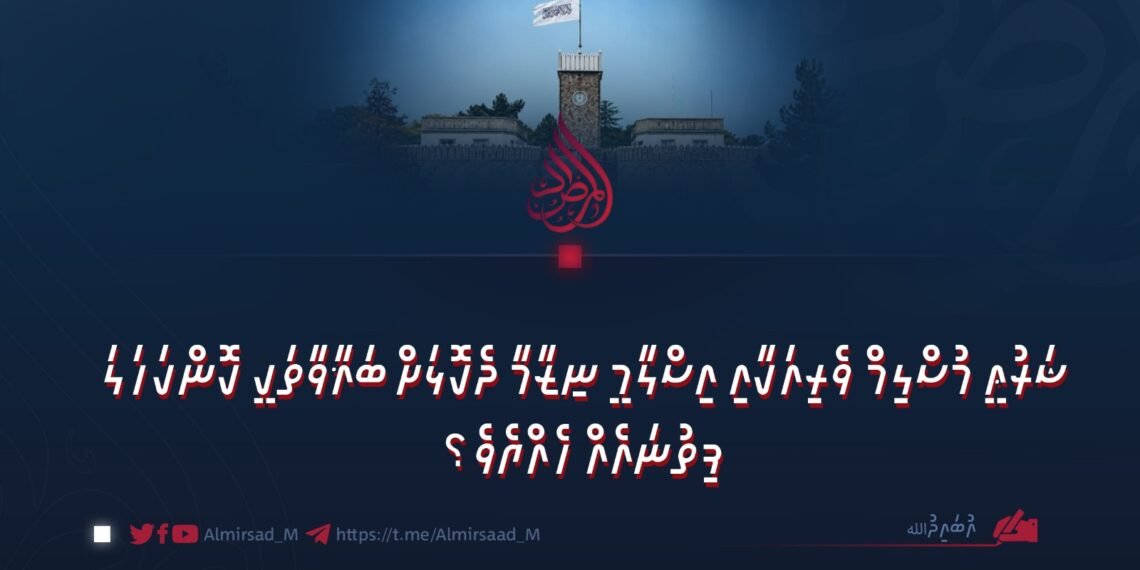 ސަލާމަތާއި އެންޑް ގައުމު ބިނާކުރުން: ޒަމާނީ ވެރިކަމުގެ އަސާސީ މިންގަނޑު