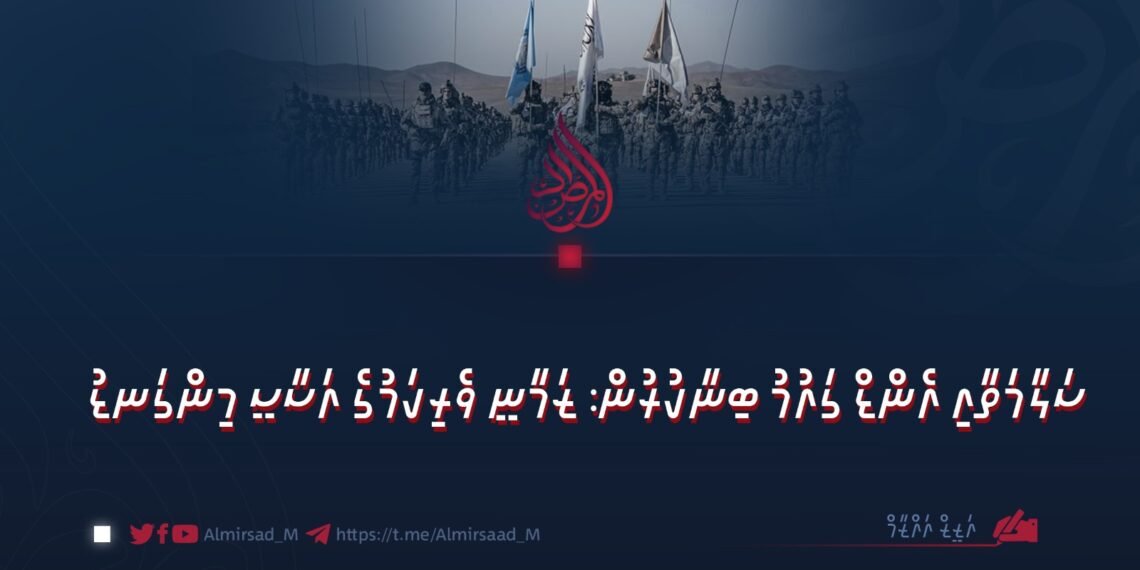 ސަލާމަތާއި އެންޑް ގައުމު ބިނާކުރުން: ޒަމާނީ ވެރިކަމުގެ އަސާސީ މިންގަނޑު