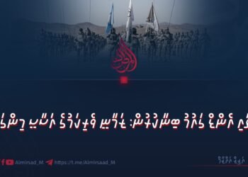 ސަލާމަތާއި އެންޑް ގައުމު ބިނާކުރުން: ޒަމާނީ ވެރިކަމުގެ އަސާސީ މިންގަނޑު