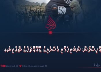 ޕާކިސްތާން: ނުބައިކަމާއި ފަސާދައިގެ ގްރޫޕްތަކުގެ ޓްރެއިނަރ
