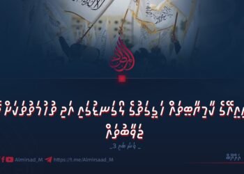 އައިއީއޭގެ ކާމިޔާބީތައް ހަގީގަތުގެ ލޯގަނޑުގައި އަދި ތުހުމަތުތަކަށް ދޭ ޖަވާބުތައް | 3 ވަނަ ބައި