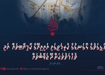 ހަގީގަތުގެ ލޯގަނޑުގެ ކުރިމަތީގައި އައިއީއޭގެ ކާމިޔާބީތައް  އަދި ތުހުމަތުތަކަށް ދޭ ޖަވާބުތައް | 6 ވަނަ ބައި